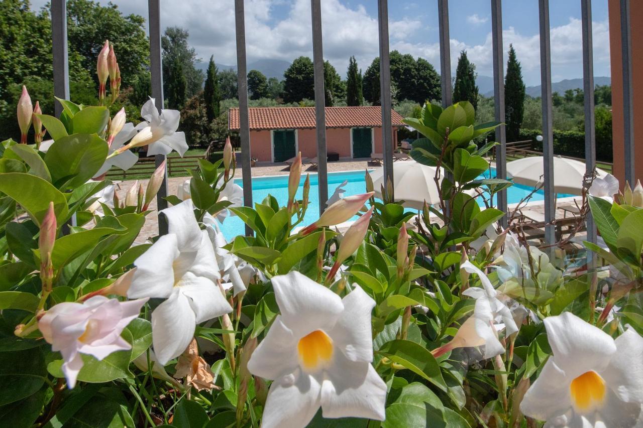 Relais Villa Isabel Pietrasanta Ngoại thất bức ảnh